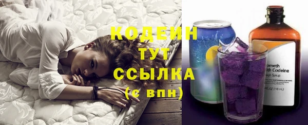 МДПВ Кодинск