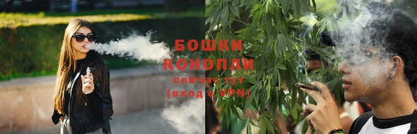 СК Козельск