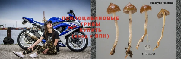 СК Козельск
