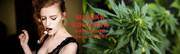 СК Козельск