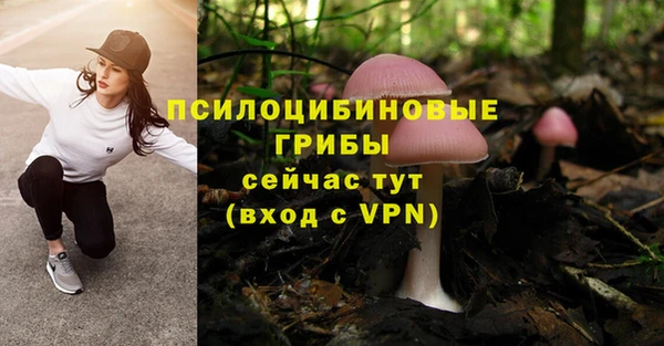 мяу мяу кристалл Козловка