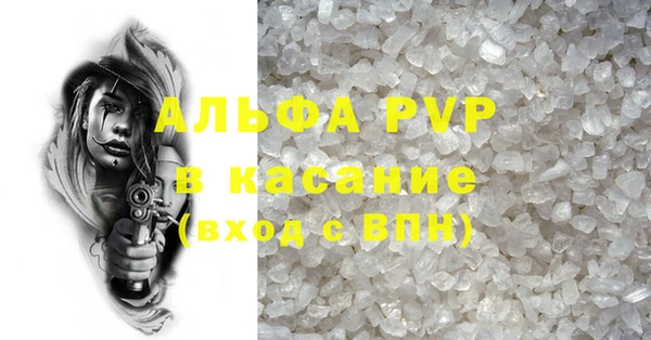 прущие крисы Корсаков