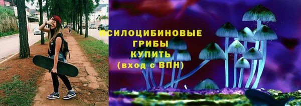 прущие крисы Корсаков